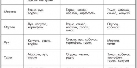 Šta saditi posle krompira sledeće godine